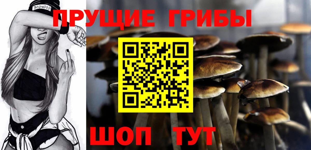Галлюциногенные грибы мухоморы Чернушка